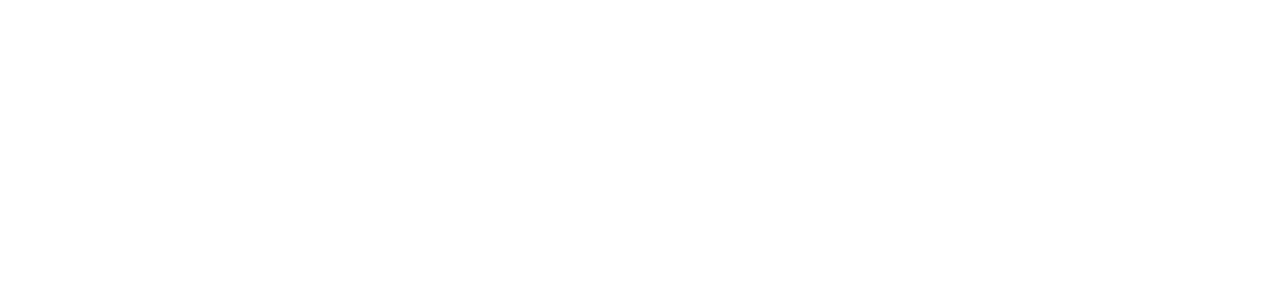 Meshibon Logo@300x
